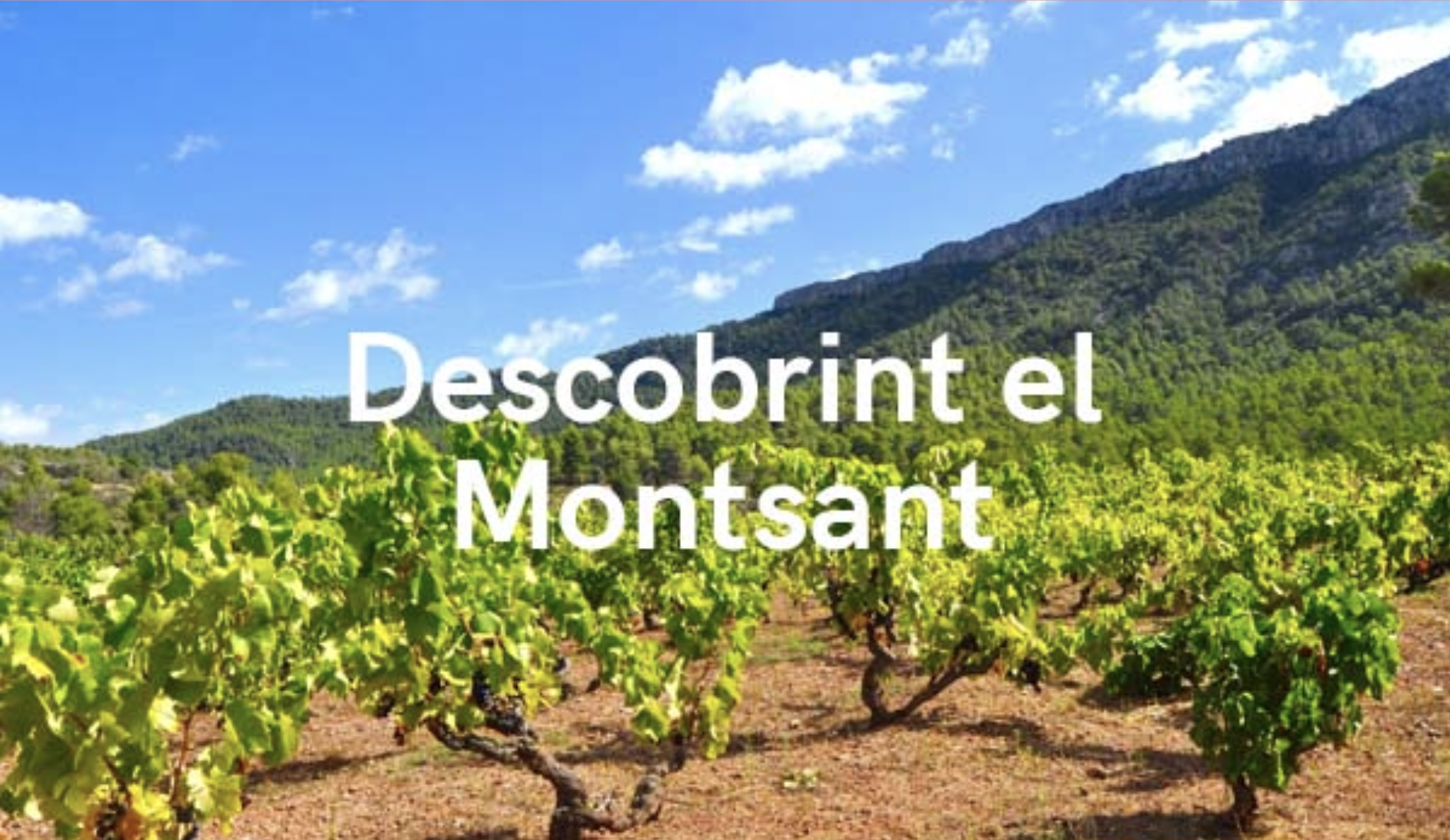 RE-DESCOBRINT LA D.O. MONTSANT