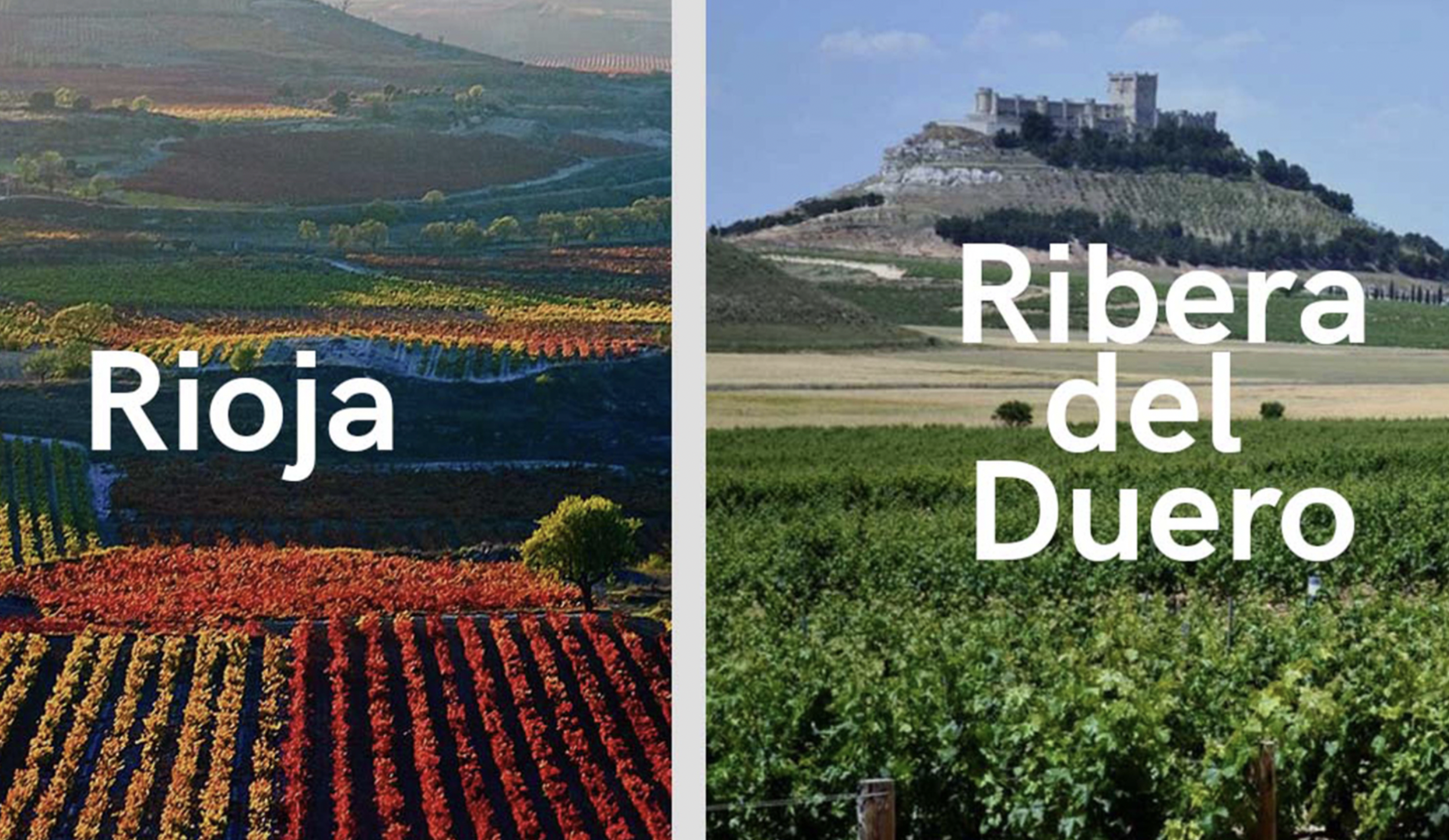 RIOJA vs RIBERA DEL DUERO