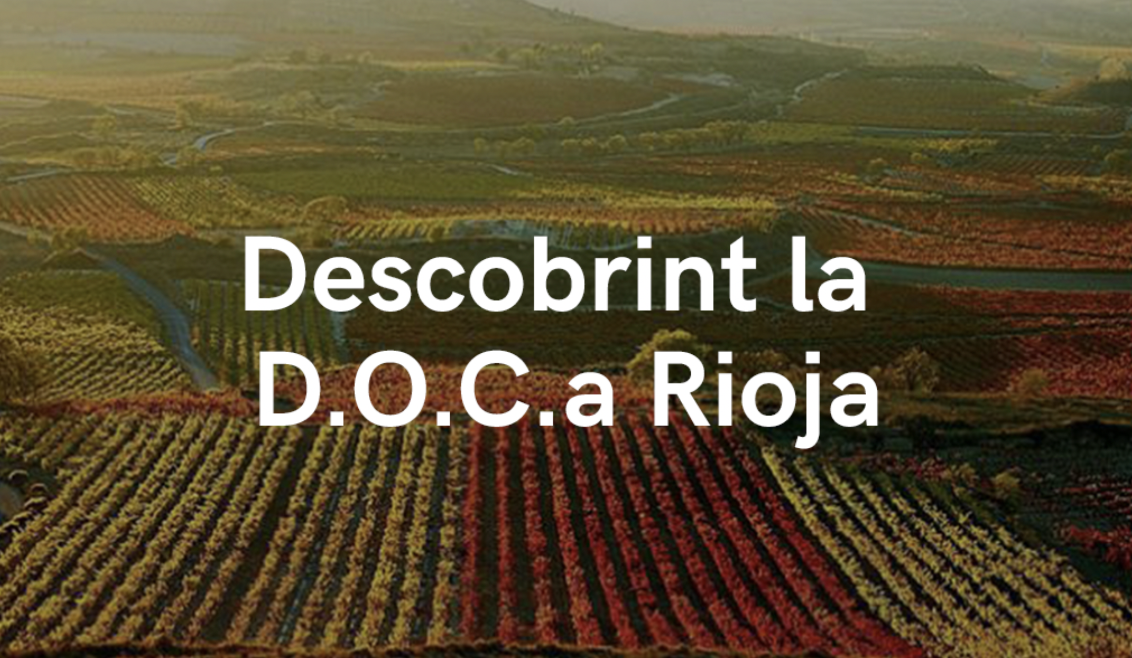 RE-DESCOBRINT LA D.O.Ca. rioja