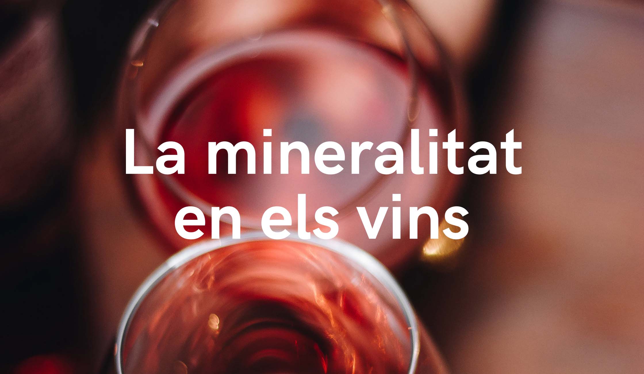 LA MINERALITAT EN ELS VINS