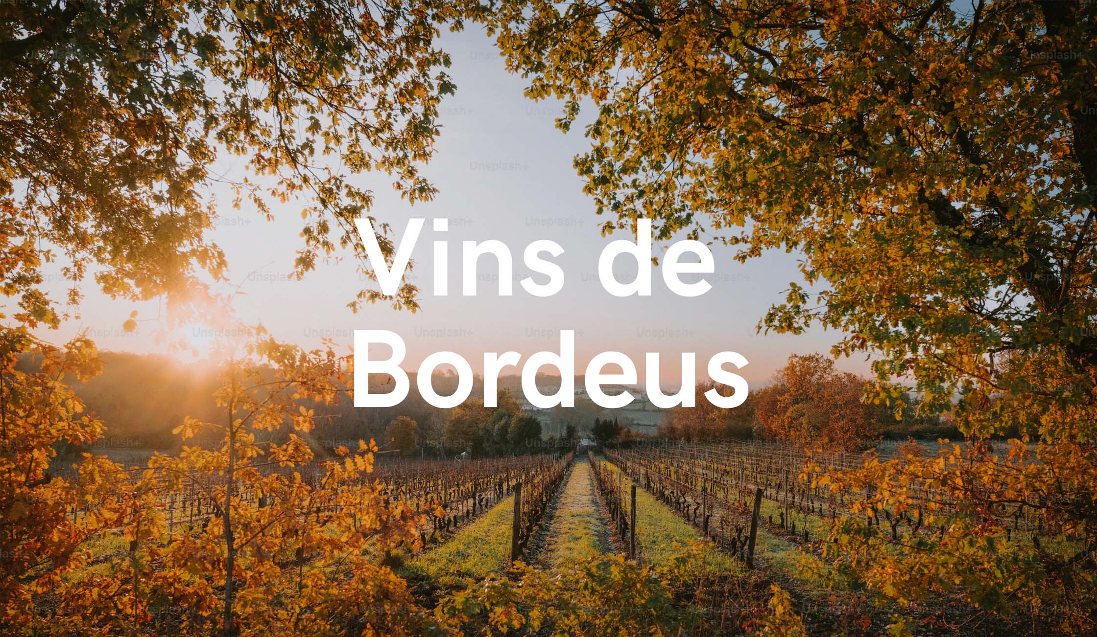 VINS DE BORDEUS