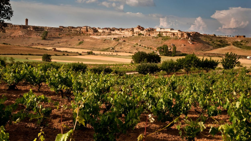 RIBERA DEL DUERO - SORIA vs BURGOS