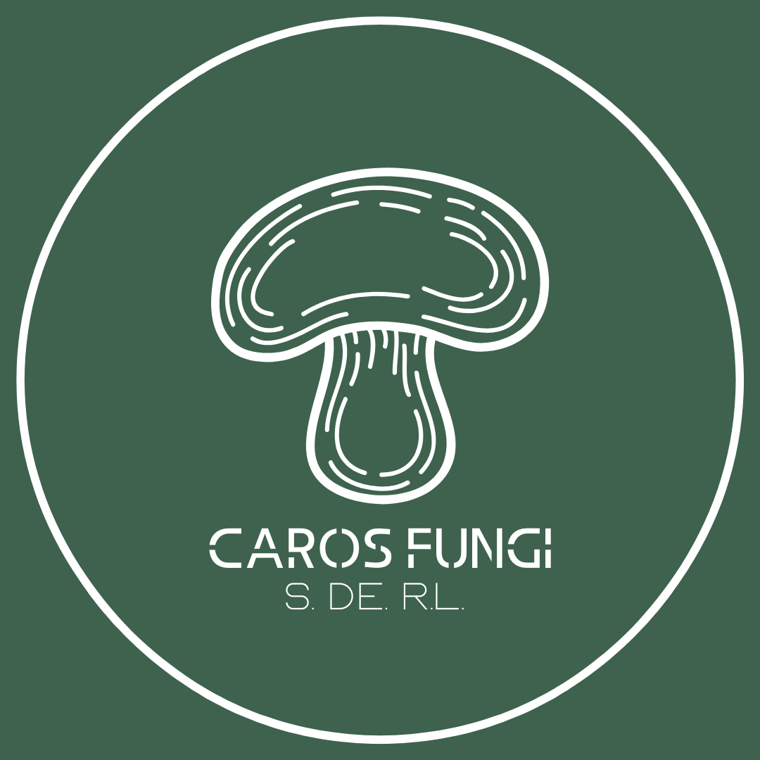 CAROS FUNGI 