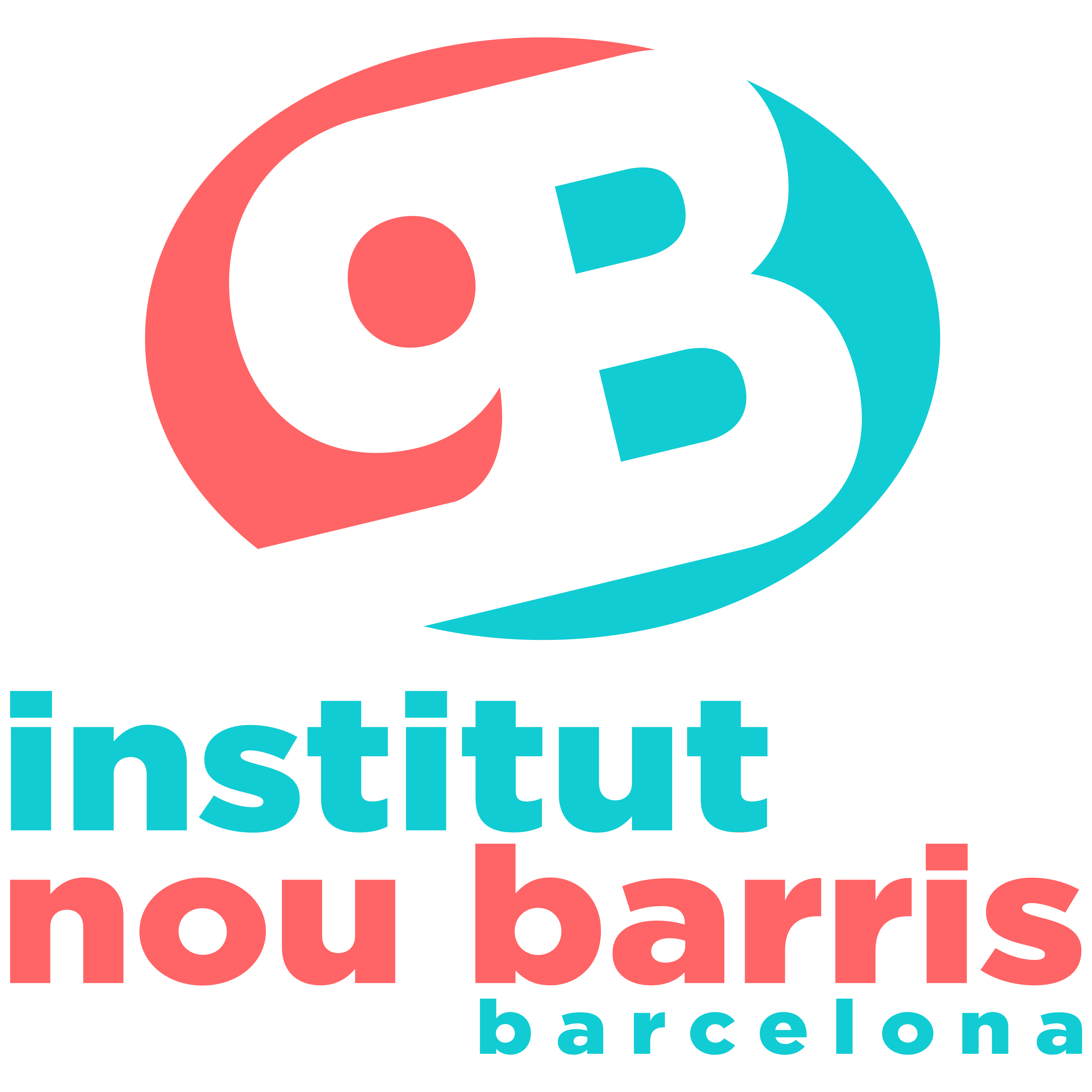 INSTITUT NOU BARRIS