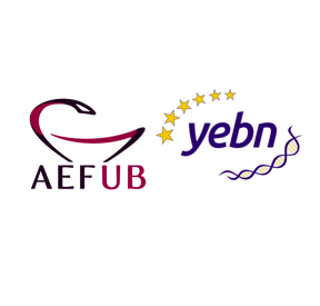 AEF-UB & YEBN