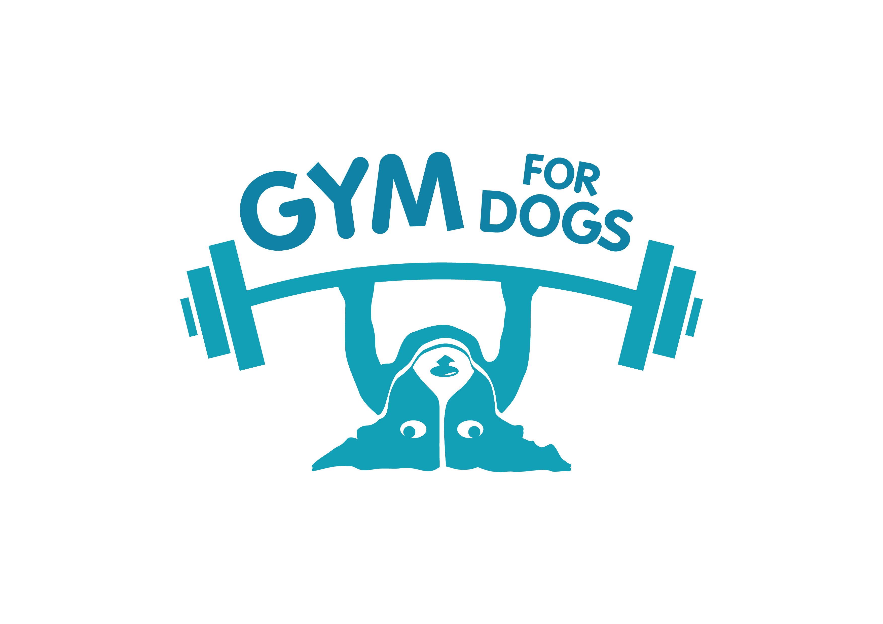 Gym for Dogs