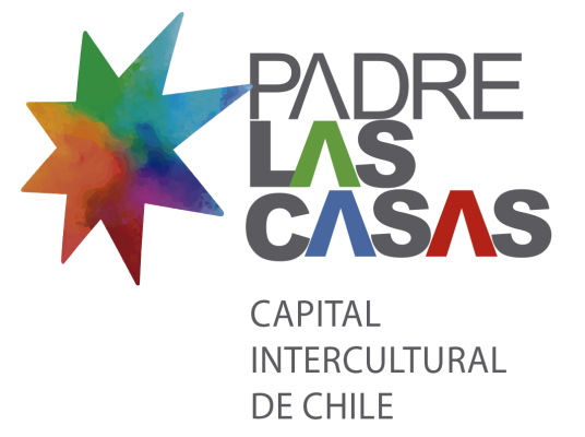 DEPARTAMENTO DE SALUD PADRE LAS CASAS