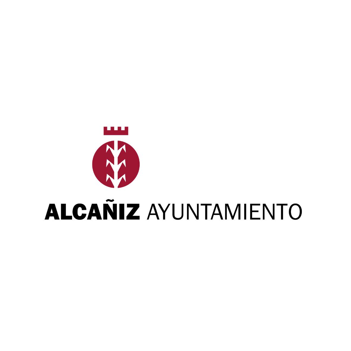 AYUNTAMIENTO DE ALCAÑIZ