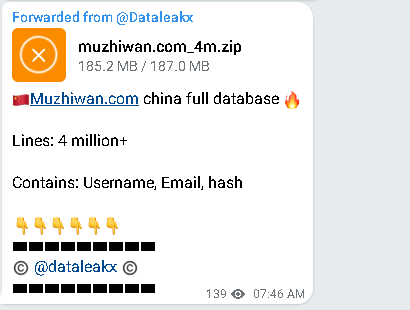 Muzhiwas.com Faces Massive Data Breach: 317MB of User Information
