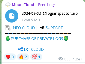Logs Inspected, Data Exposed: 1.3GB Leak Hits 2024-02-02_@logsinspector