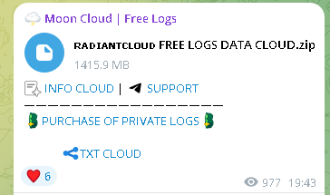 Radiant Cloud Logs Shine Leak Light | InsecureWeb