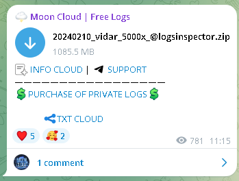 Vidar's Vault Cracked: 1GB Leak Rocks Telegram | InsecureWeb