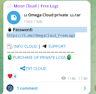 Alert: Omega Cloud Private Breach Exposes Sensitive Data | InsecureWeb