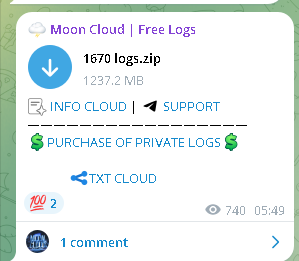 Breach Alert: 1670 Logs Compromised in Massive Data Leak | InsecureWeb