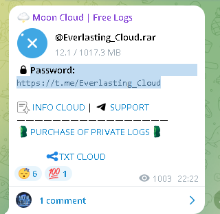 Breach Alert: @Everlasting_Cloud Exposes Sensitive Data | InsecureWeb