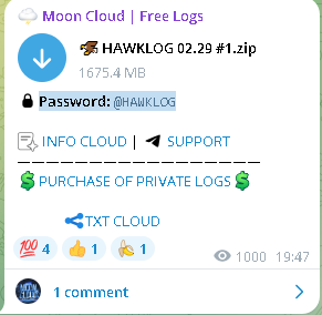 Breach Alert: 🦅 HAWKLOG 02.29 #1 Compromised by #mooncloud | InsecureWeb