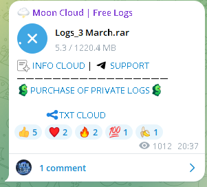 Breach Alert: Logs_3 March Compromised in Massive Data Leak | InsecureWeb