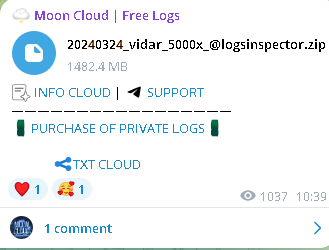 Massive Data Breach Exposes 20240324_vidar_5000x_@logsinspector
