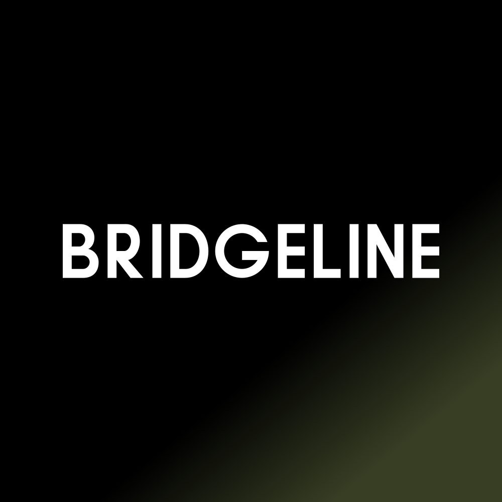 BLIN logo
