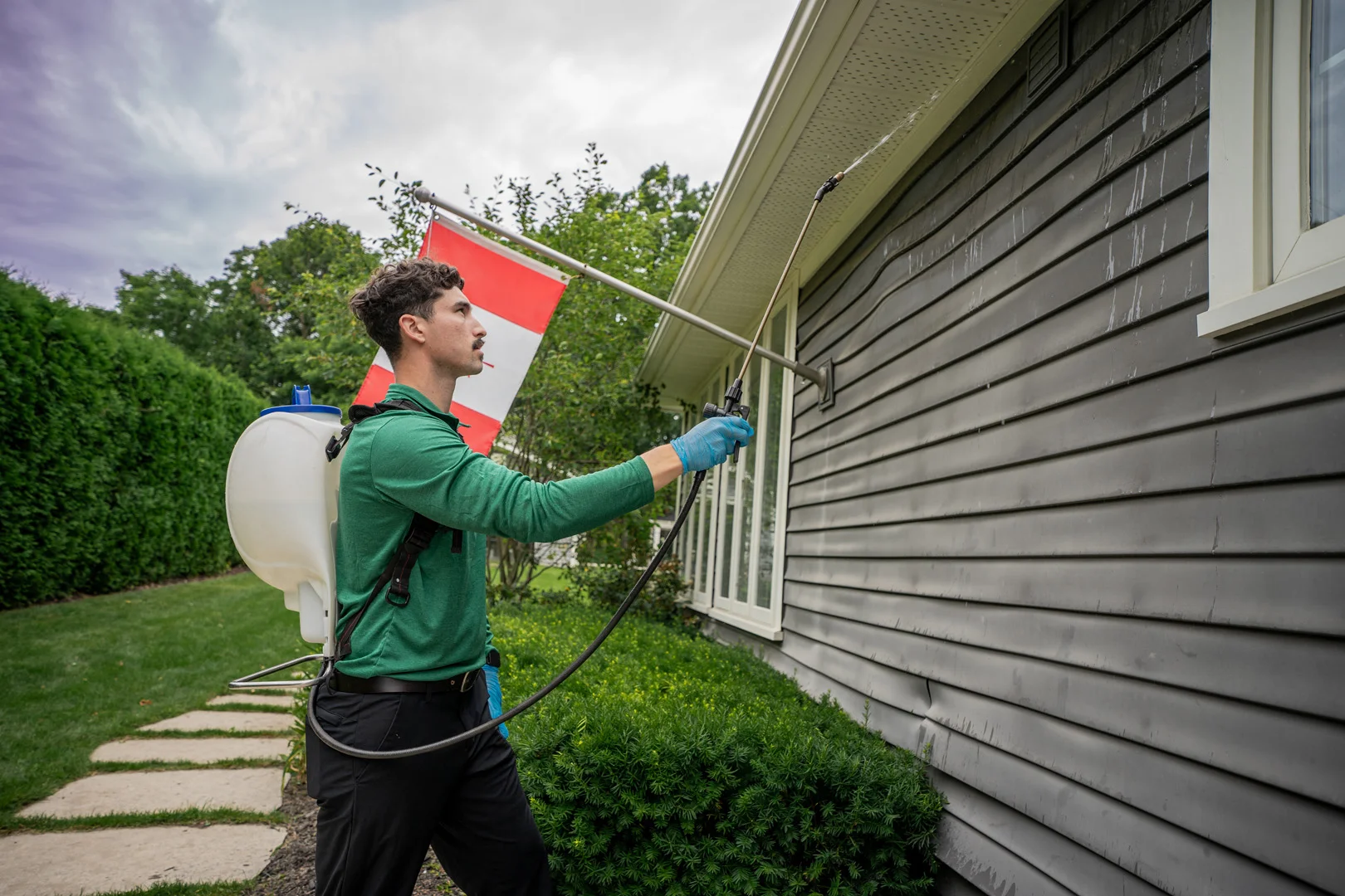 Pest Control Hamilton, Ontario