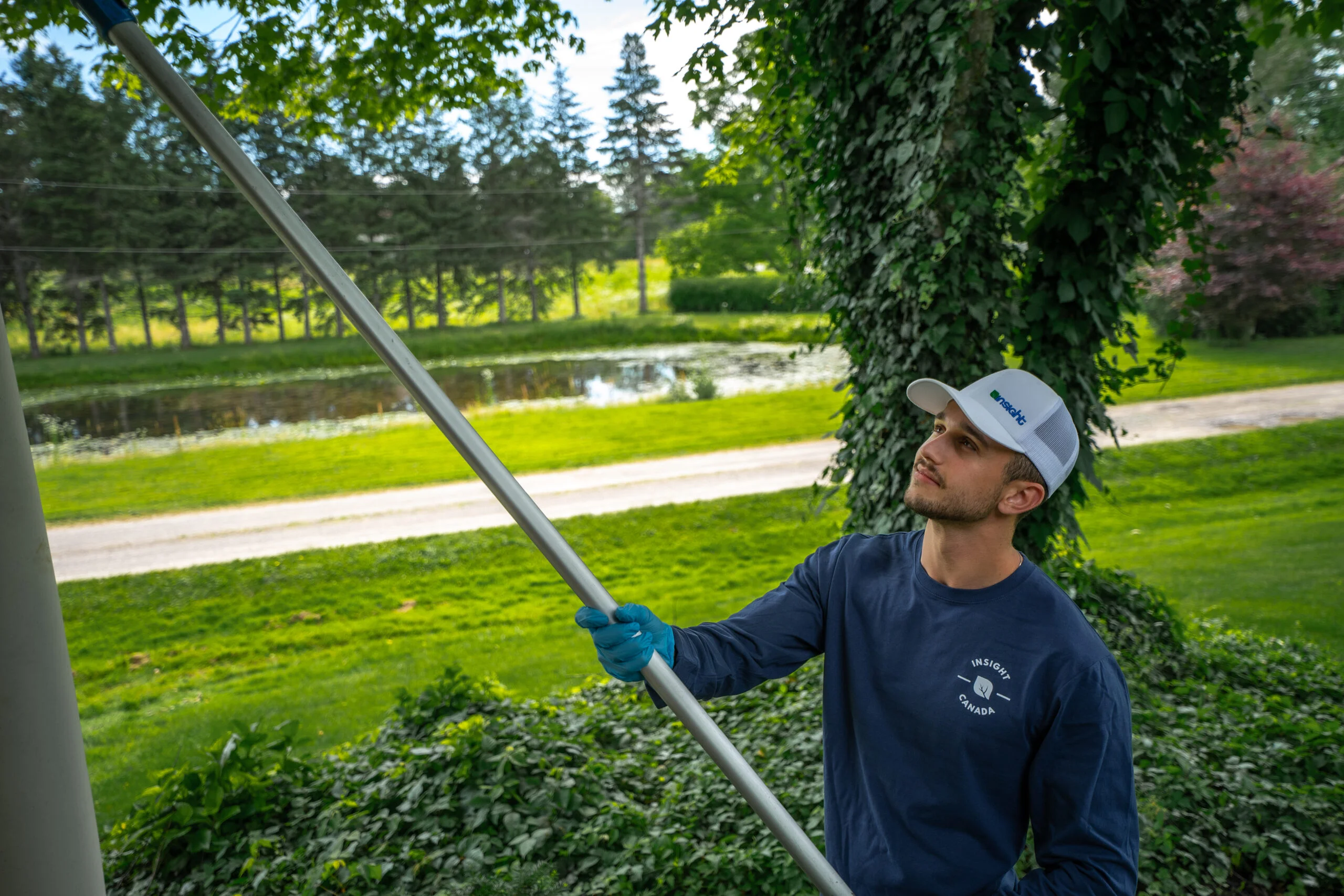 Pest Control Mississauga, Ontario