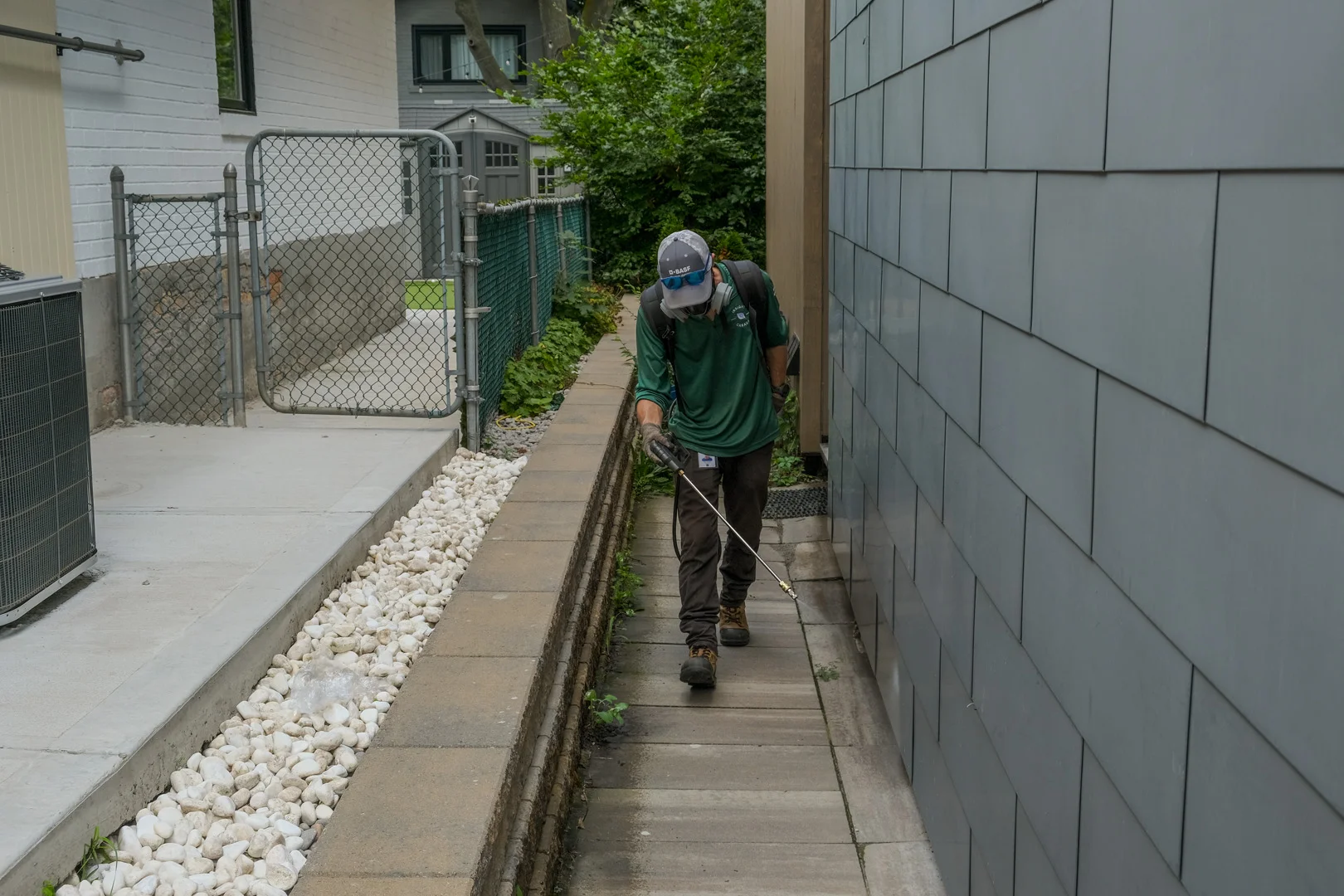 Pest control technician in Montreal