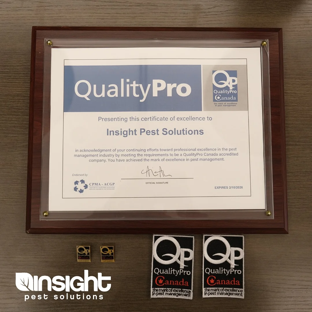 شهادة QualityPro