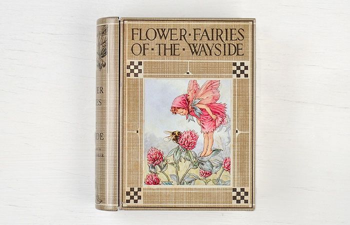 News - Flower Fairies Tin - Inspirations Studios
