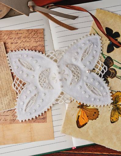 Butterfly, Butterfly