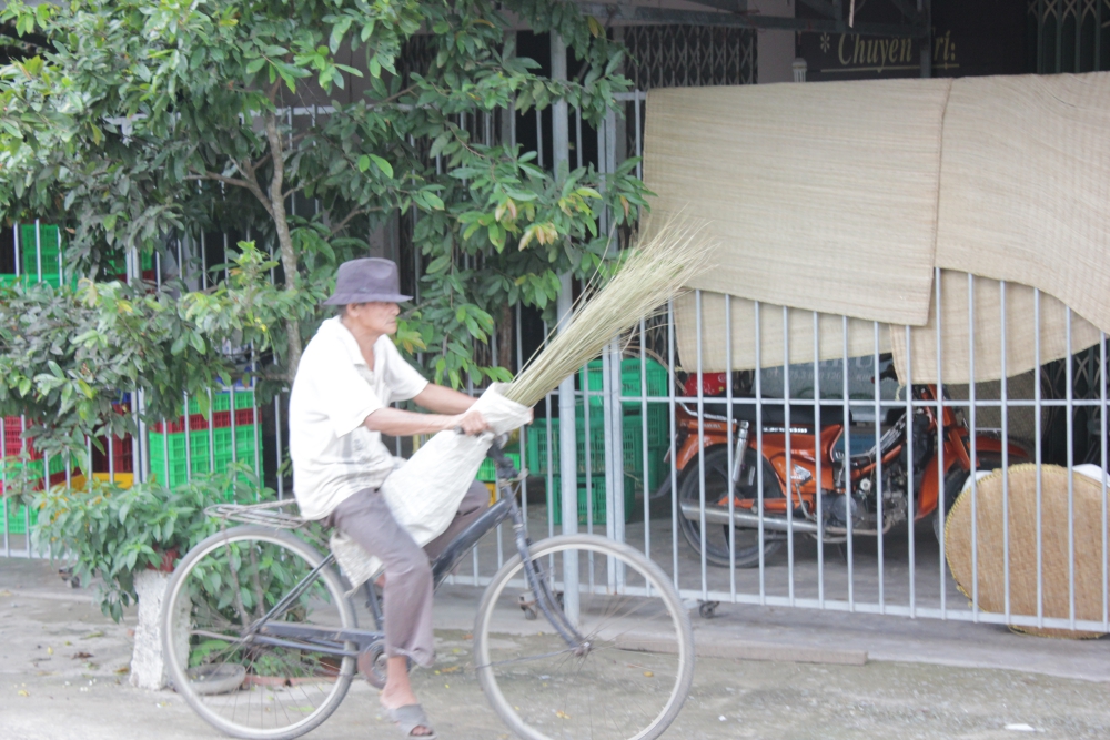 Mekong Delta day tour