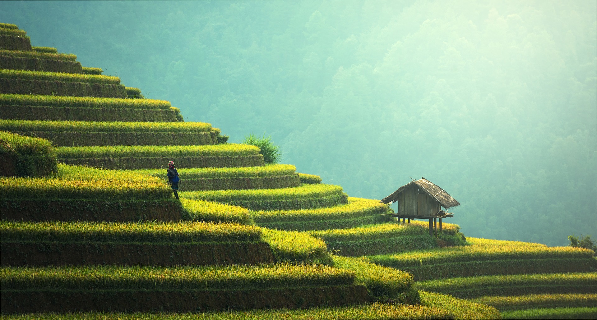 Sapa Vietnam travel