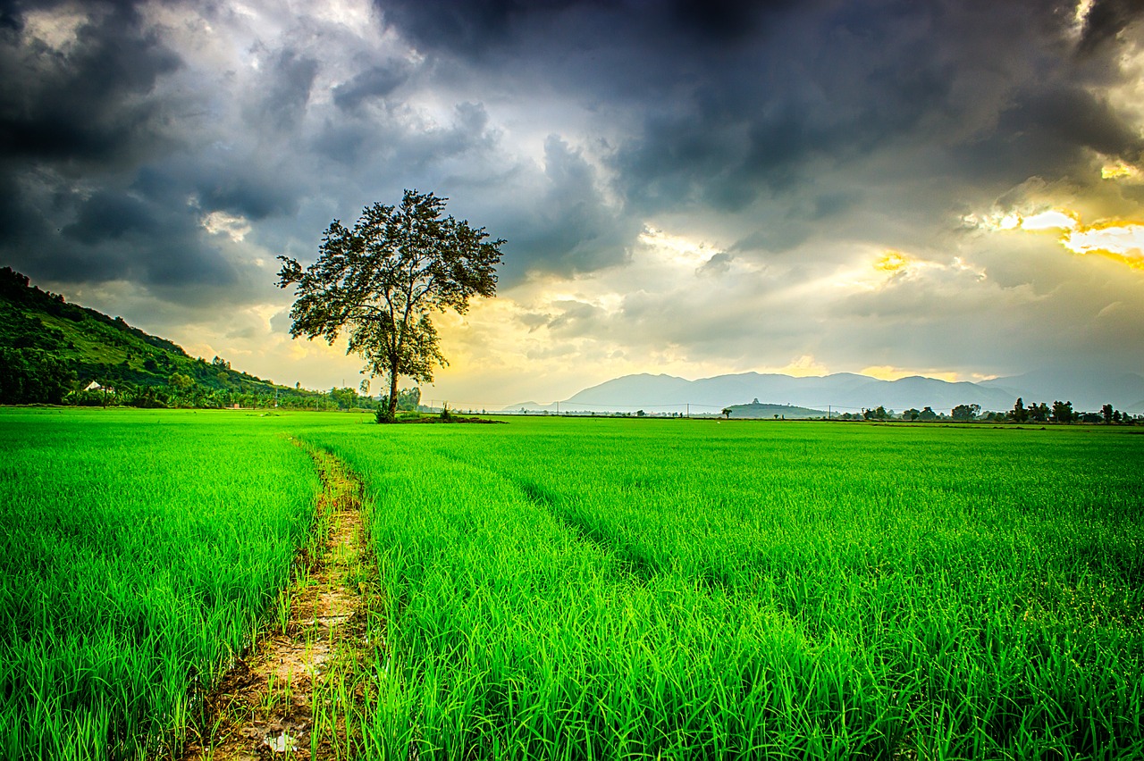 Dalat Vietnam