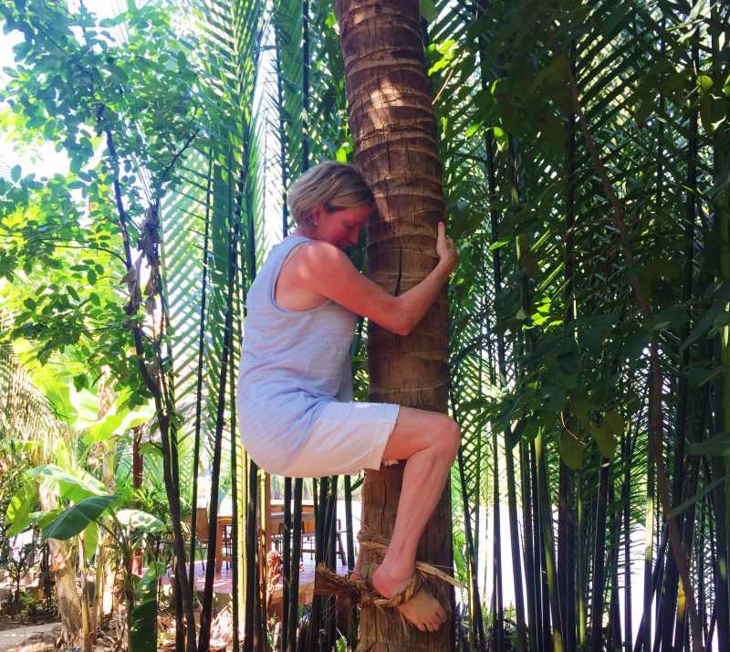 climb-coconut-tree-mekong-delta