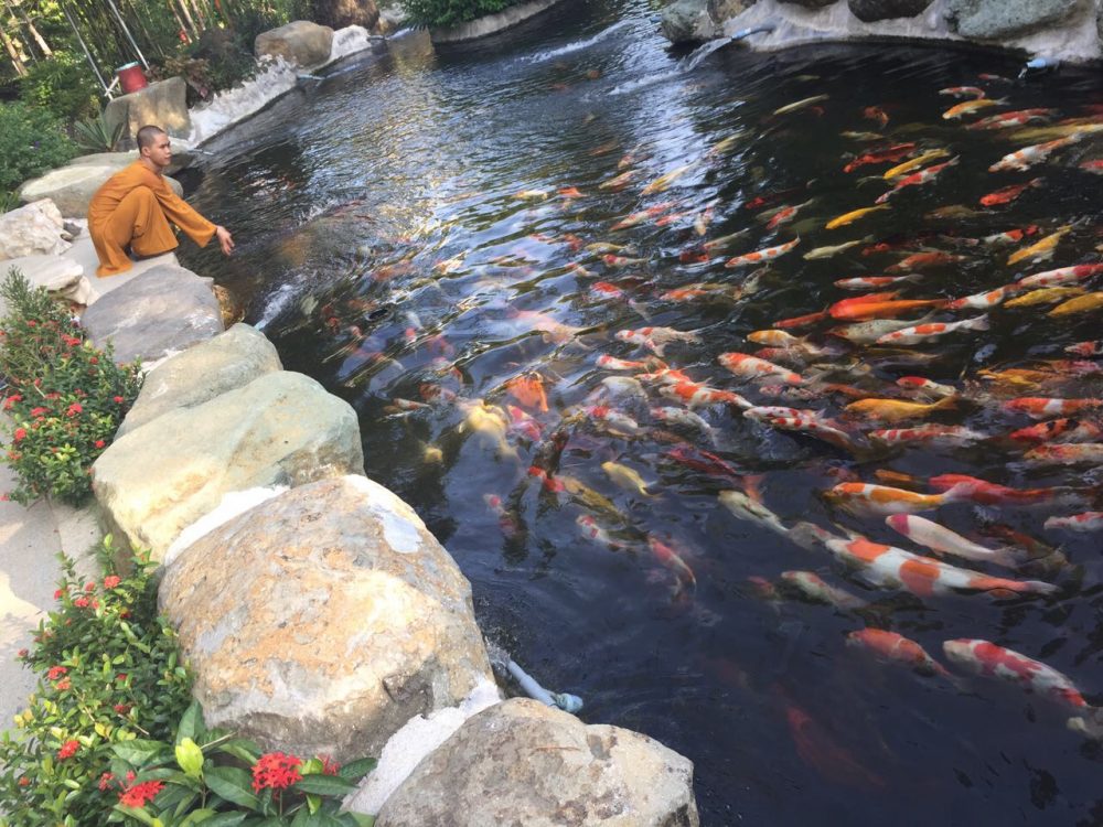 Vietnam buddhist temples