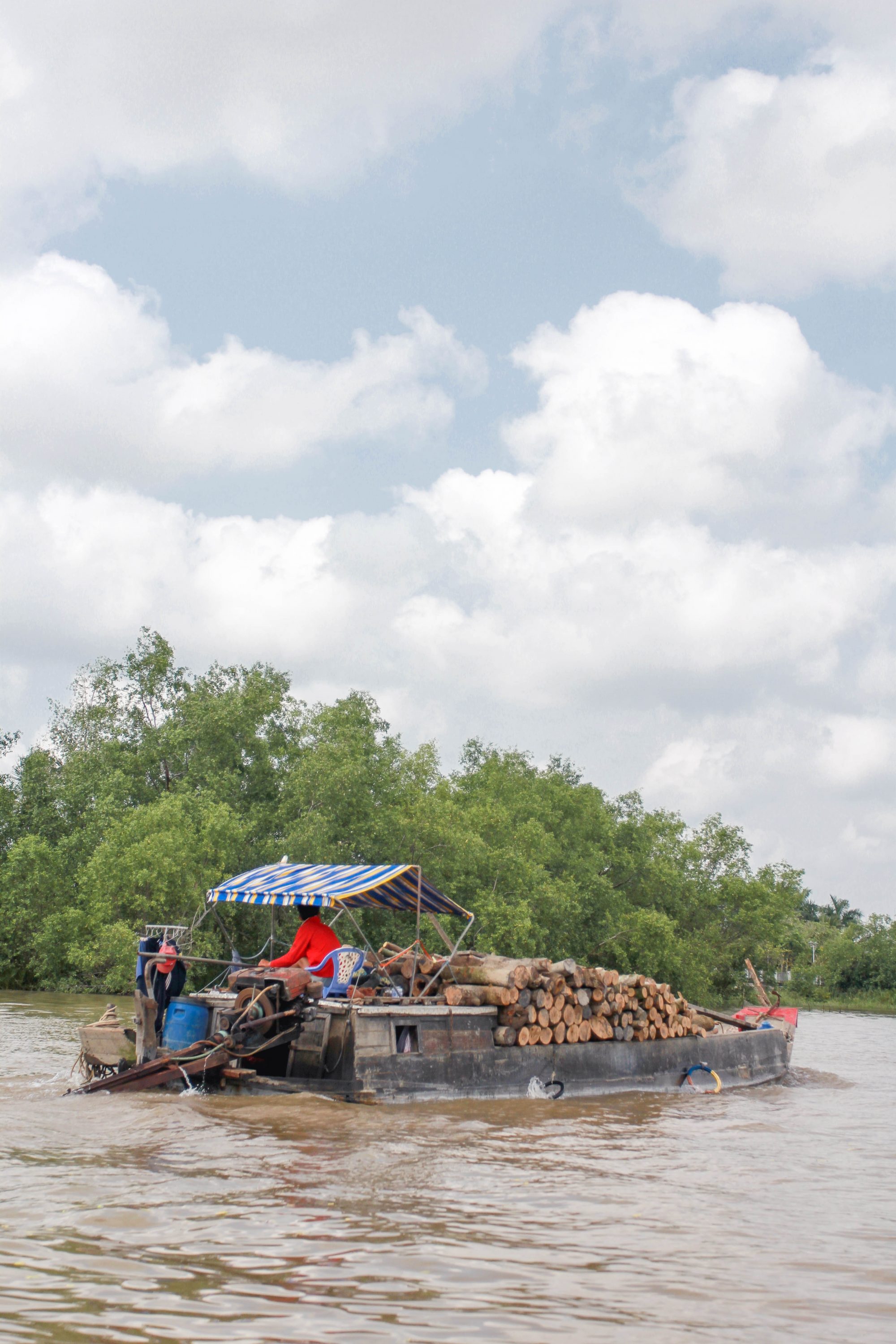 Mekong delta