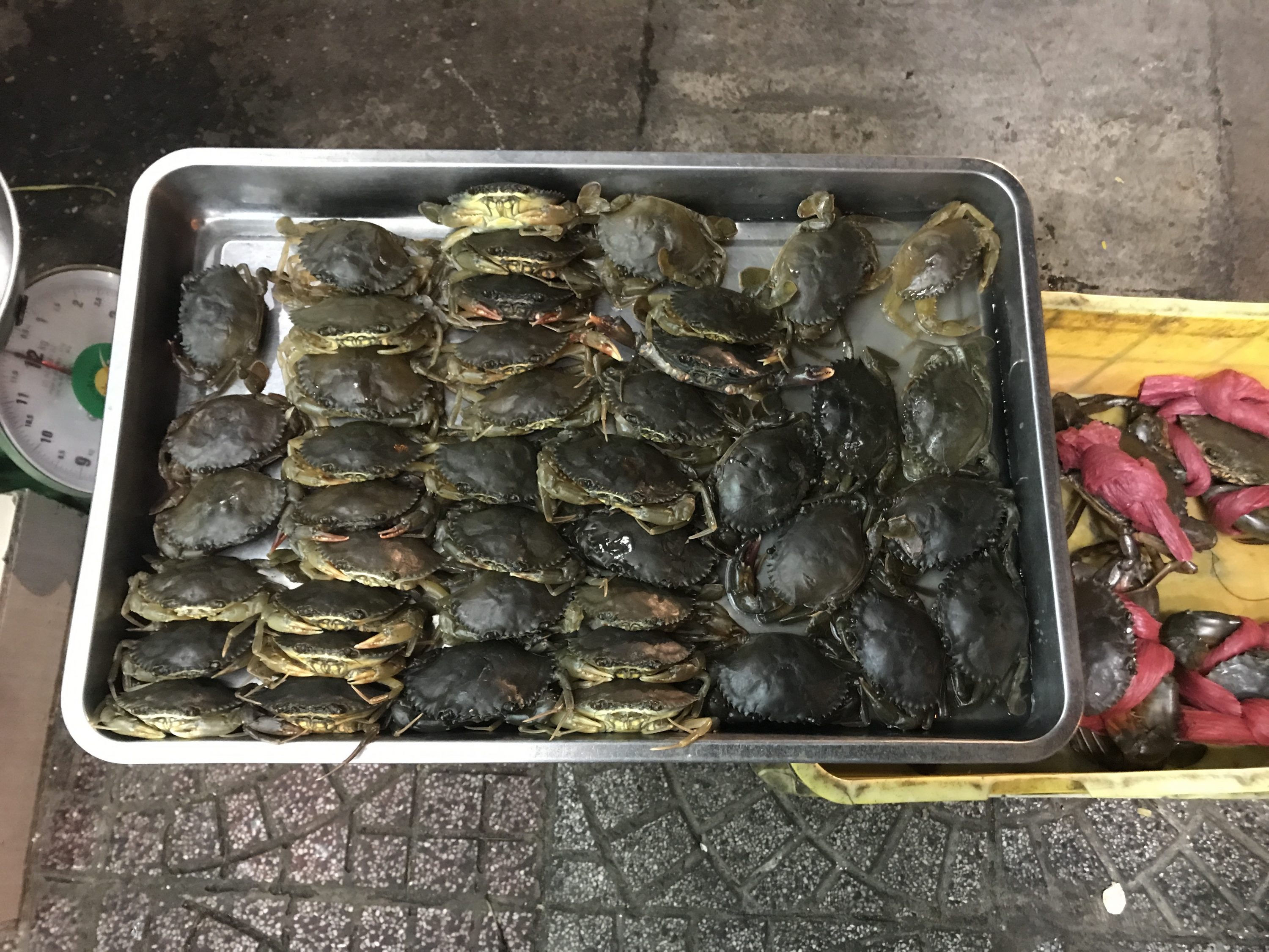 Saigon street food tour