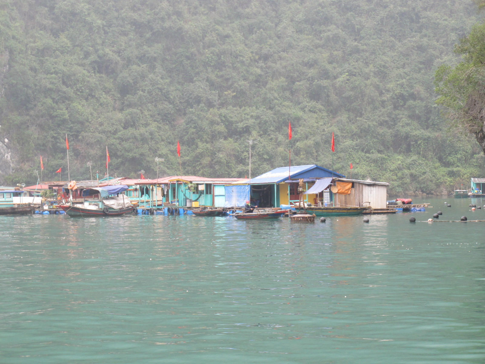 halong bay cruise