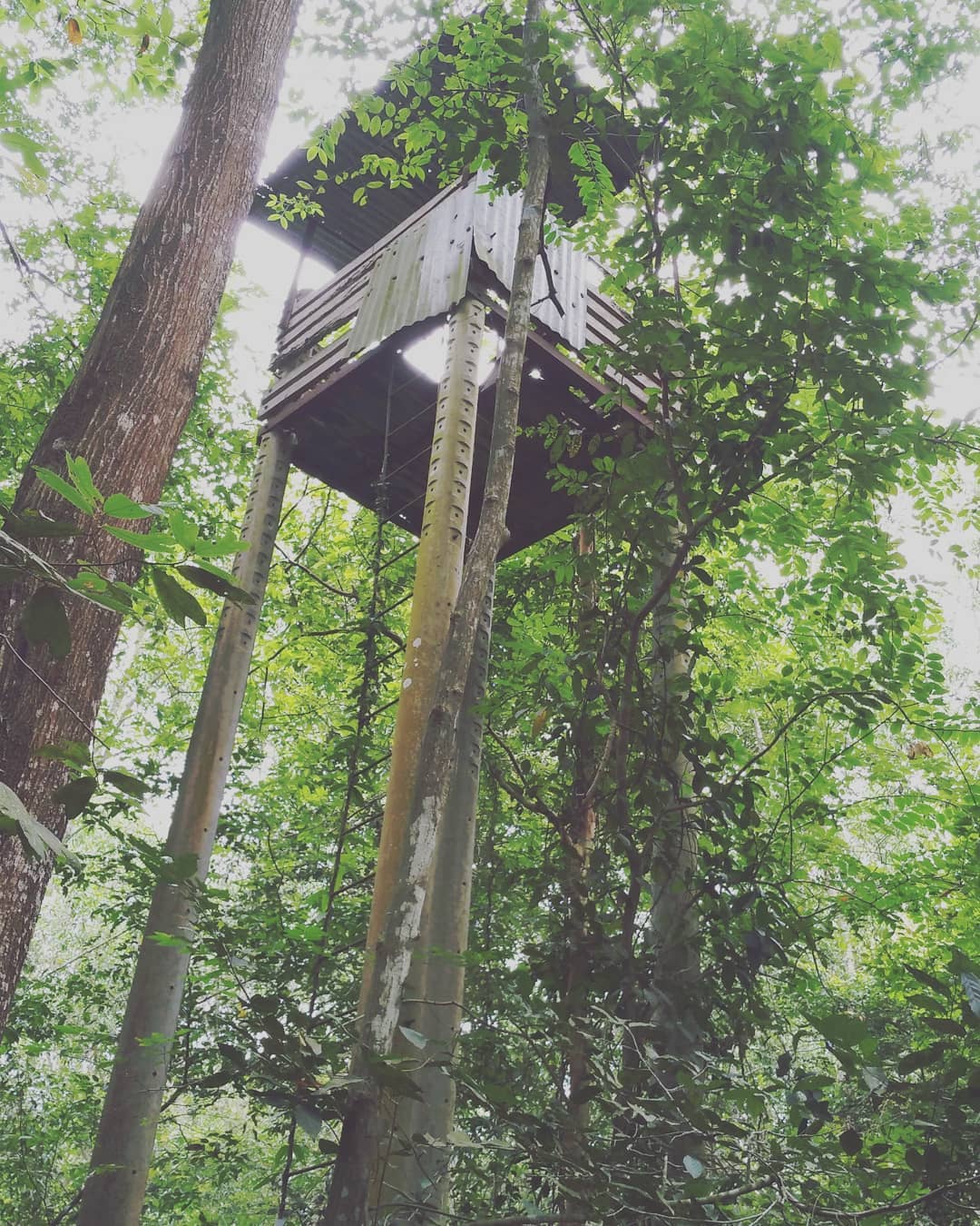 cu-chi-tunnels