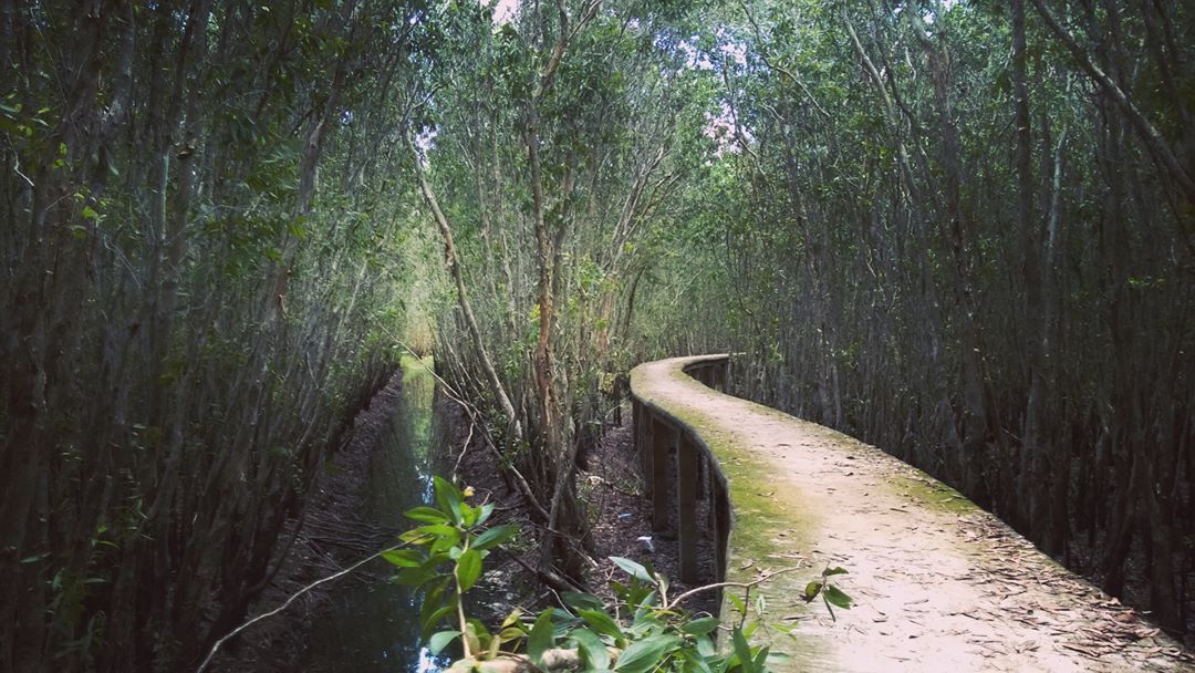 Mekong delta tours 