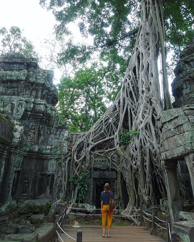 Angkor Wat sunset