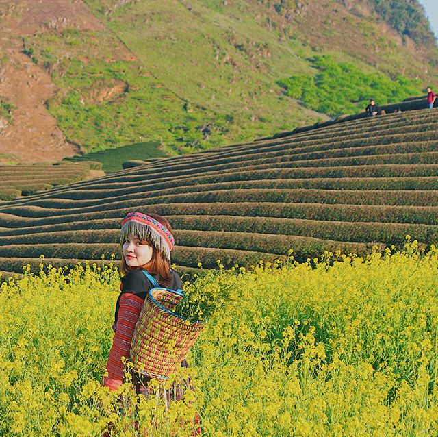 Moc Chau from Hanoi 