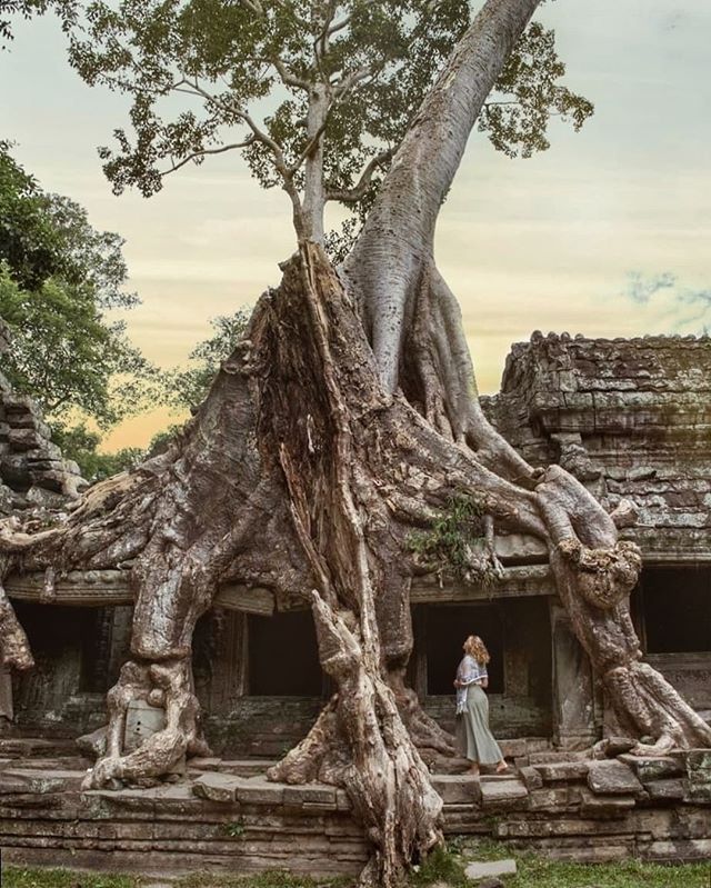 Angkor sunset