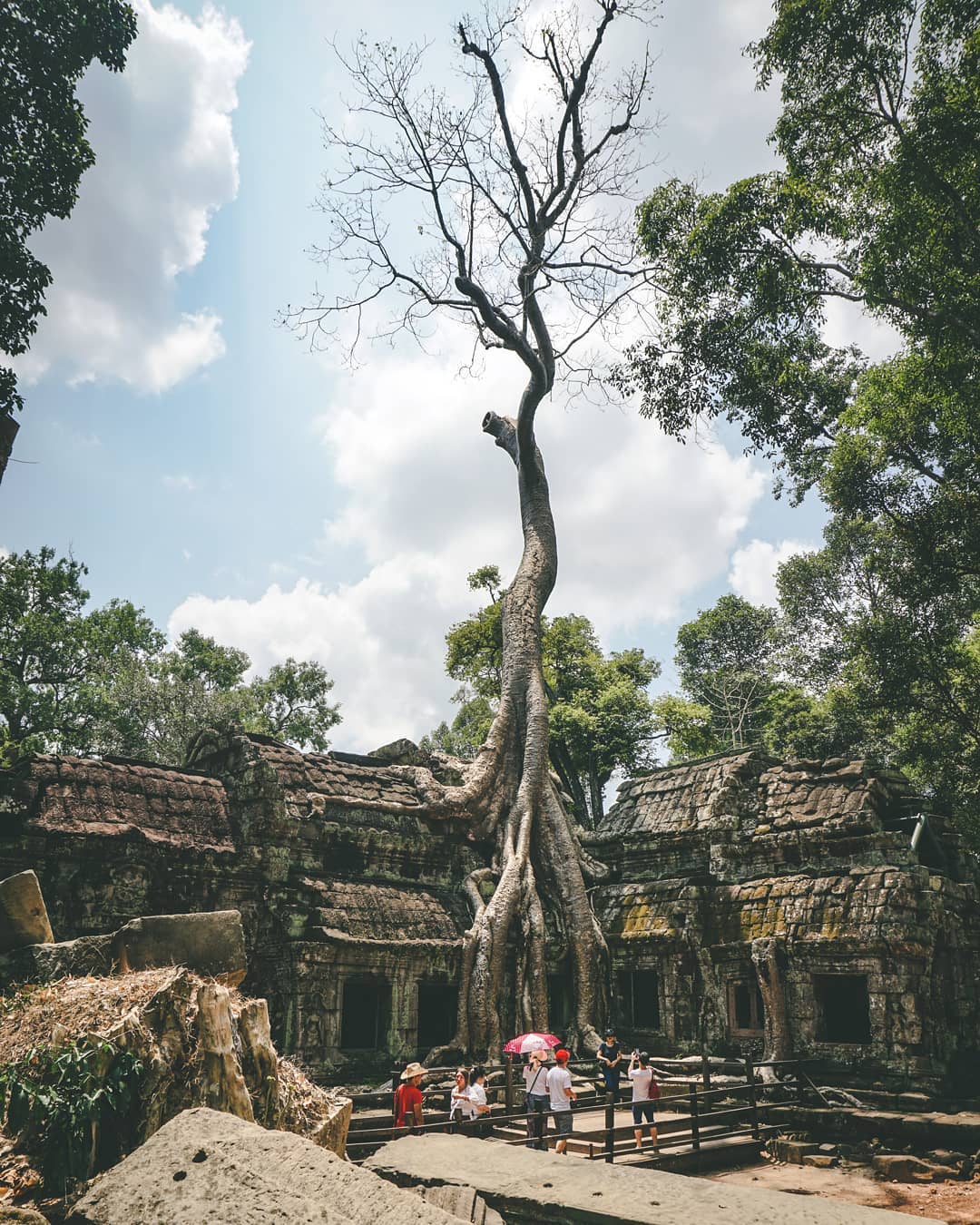 Siem reap temple 