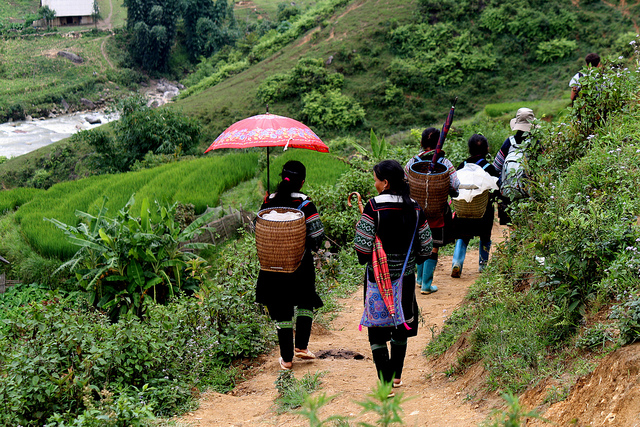 trekking in Sapa 