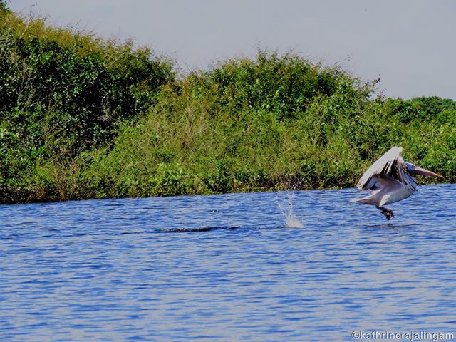 visiting tonle sap lake 