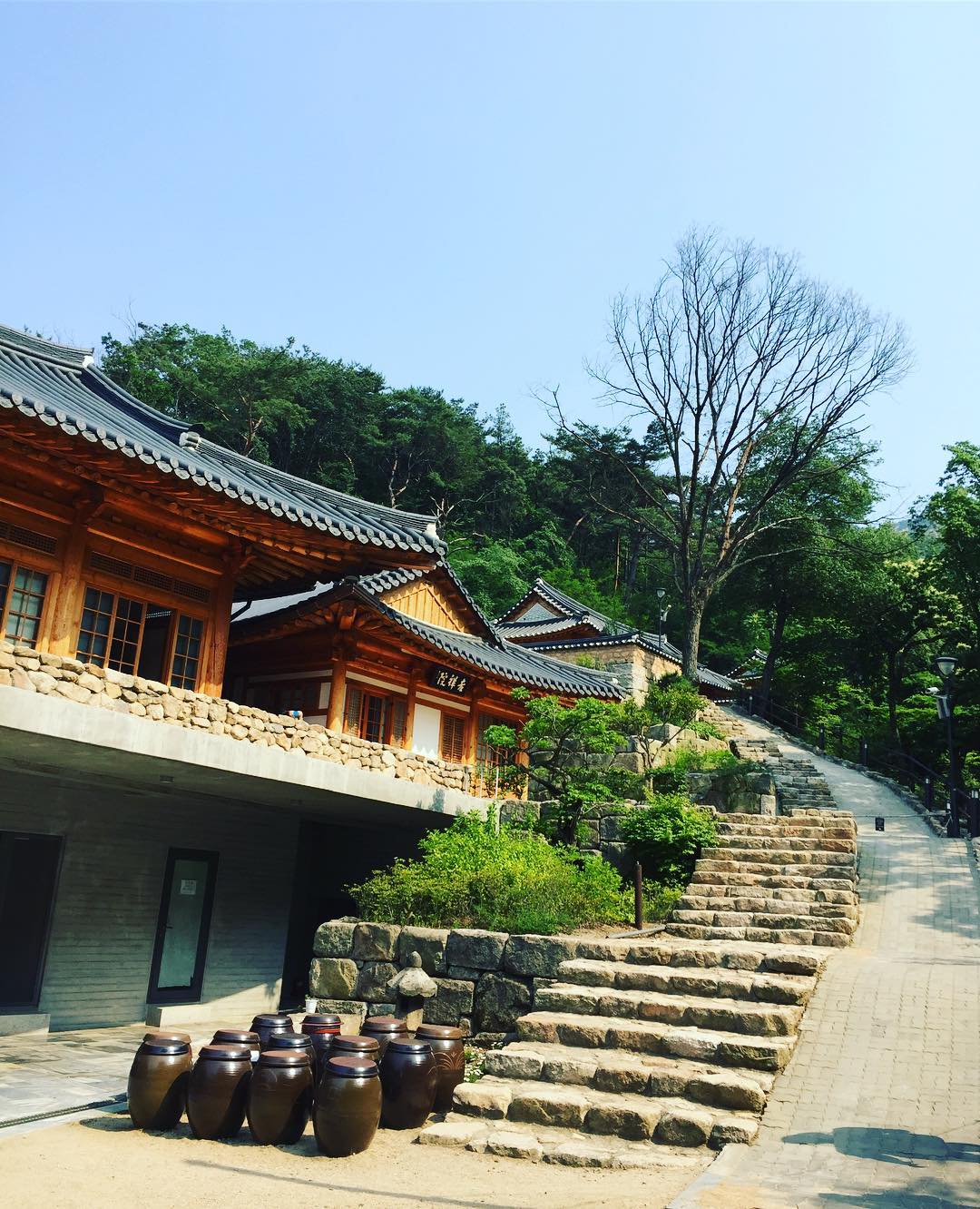 Korean Temples 