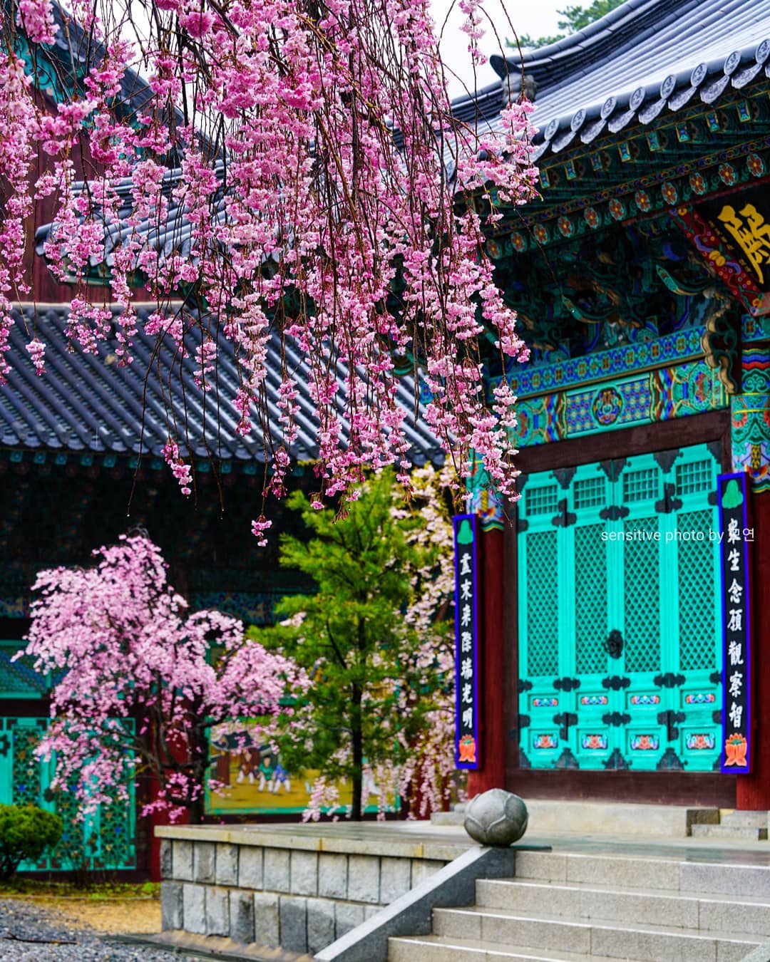 Korean temples 