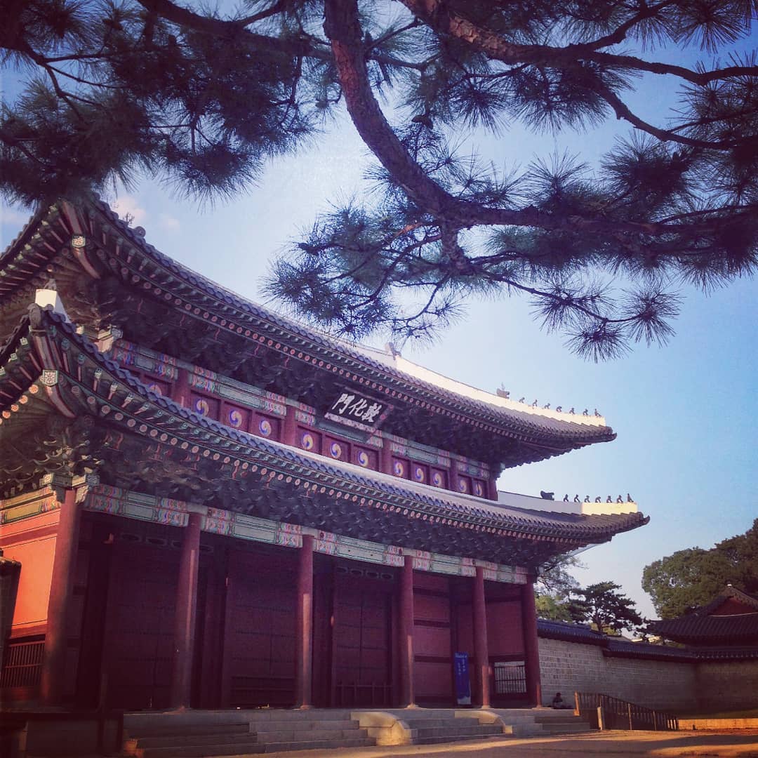 Changdeokgung palace guide