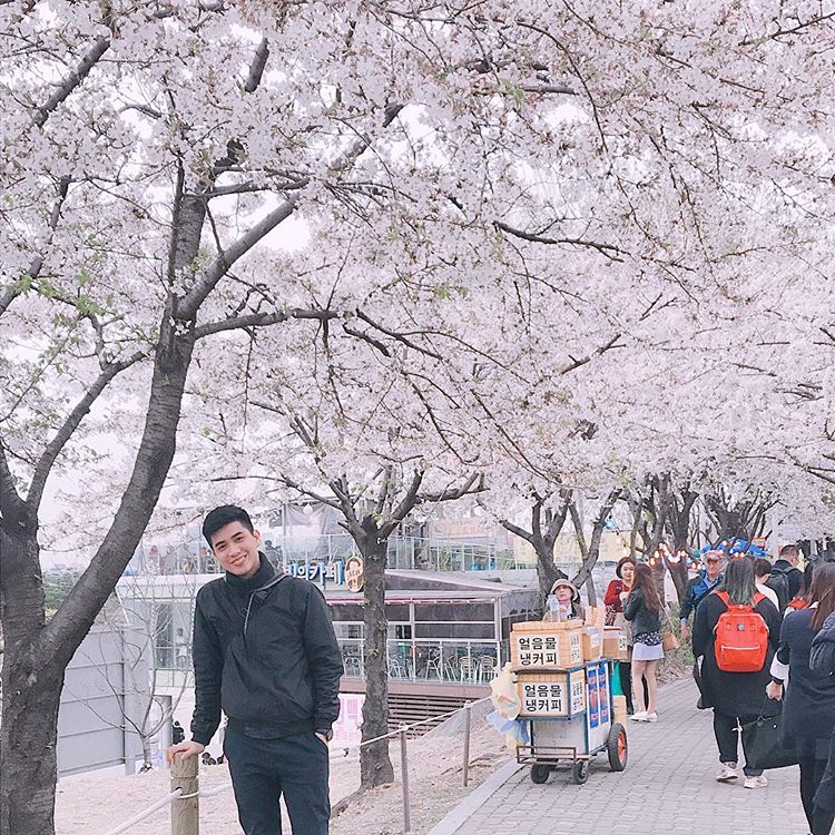 what to do in Seoul 