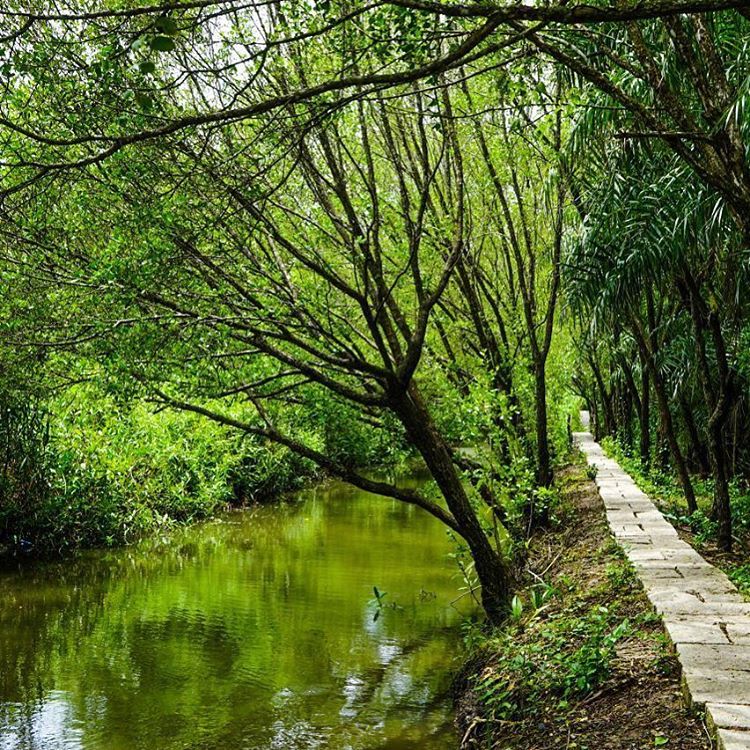 day trip in Mekong Delta